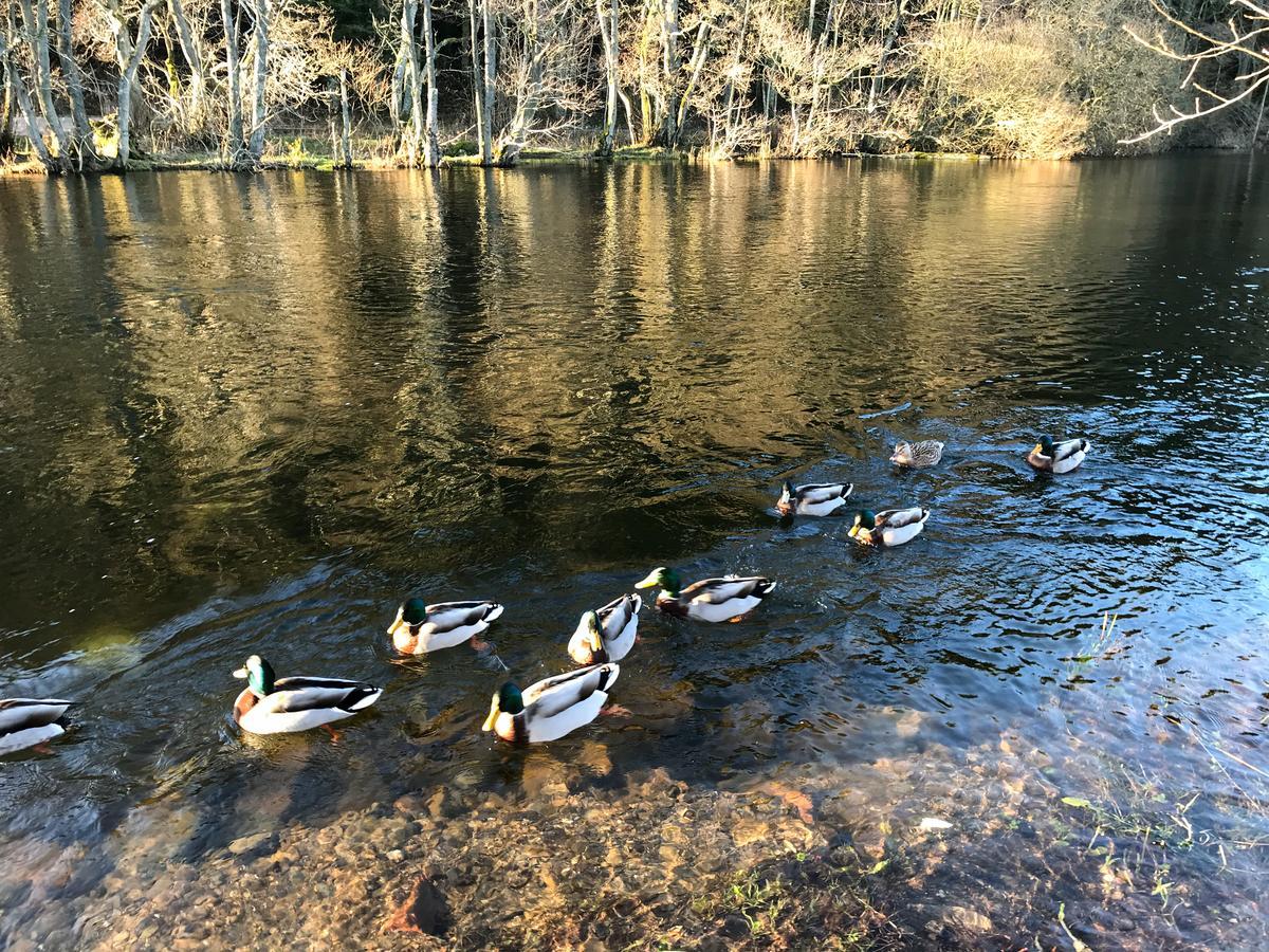 Waterfoot Park Ξενοδοχείο Pooley Bridge Εξωτερικό φωτογραφία
